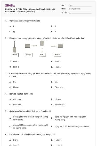 Đề kiểm tra KHTN 6 Chân trời sáng tạo Phần 3. Đề thi kết thúc học kì 2 có đáp án (Đề số 75)