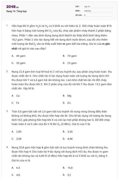 Dạng 14. Tổng hợp