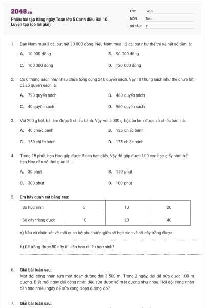 Phiếu bài tập hàng ngày Toán lớp 5 Cánh diều Bài 10. Luyện tập (có lời giải)