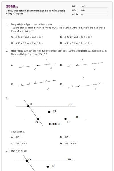 34 câu Trắc nghiệm Toán 6 Cánh diều Bài 1: Điểm. Đường thẳng có đáp án