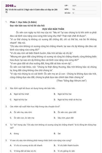 Bộ 10 đề thi cuối kì 2 Ngữ văn 6 Cánh diều có đáp án (Đề 3)