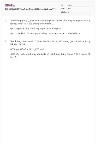Giải bài tập SGK Toán 9 tập 1 hay nhất Luyện tập trang 111