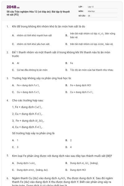 58 câu Trắc nghiệm Hóa 12 (có đáp án): Bài tập lý thuyết về sắt (P2)