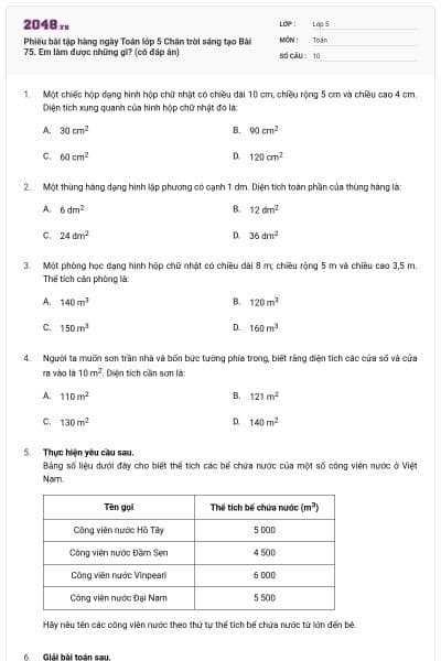 Phiếu bài tập hàng ngày Toán lớp 5 Chân trời sáng tạo Bài 75. Em làm được những gì? (có đáp án)