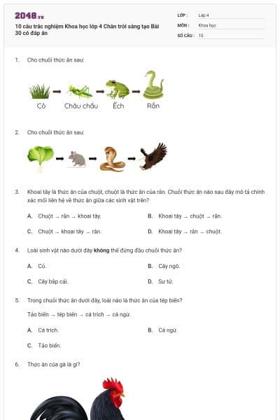 10 câu trắc nghiệm Khoa học lớp 4 Chân trời sáng tạo Bài 30 có đáp án