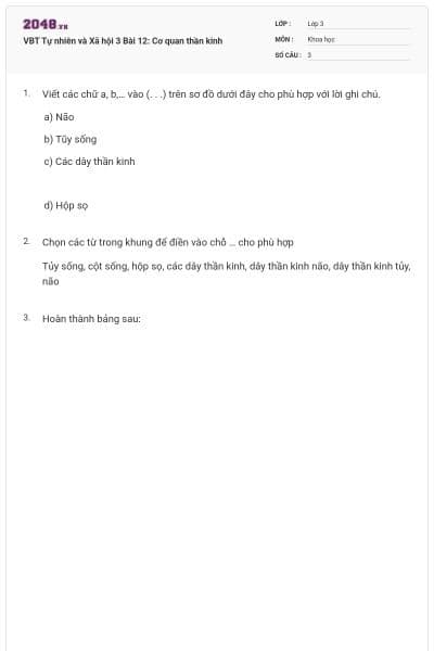VBT Tự nhiên và Xã hội 3 Bài 12: Cơ quan thần kinh