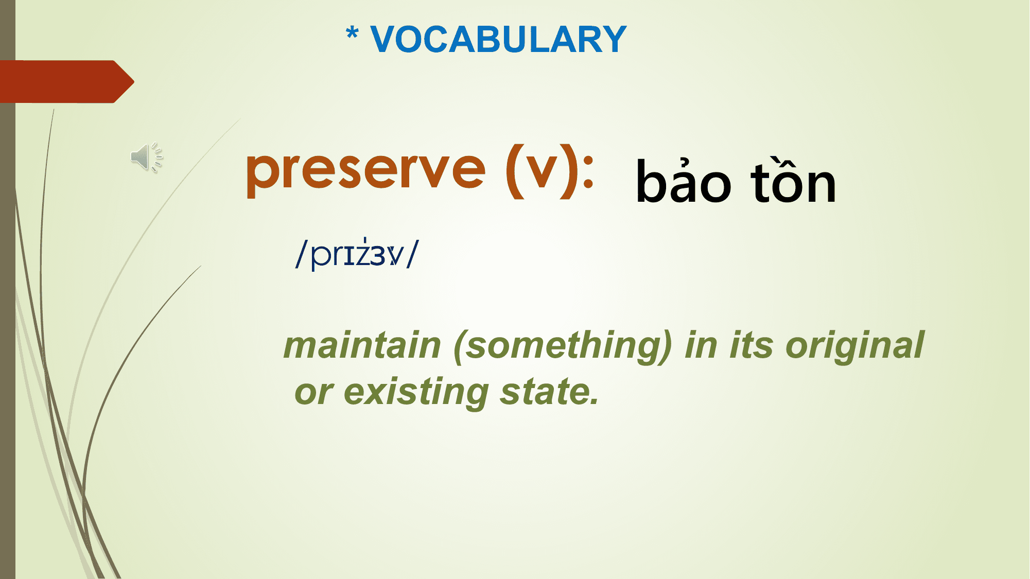 * VOCABULARY

preserve (v): bảo tồn
 zɜːv/
 /prɪˈ

 maintain (something) in its original
 or existing state.