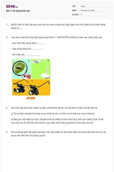 Bài 3: Sử dụng kính lúp