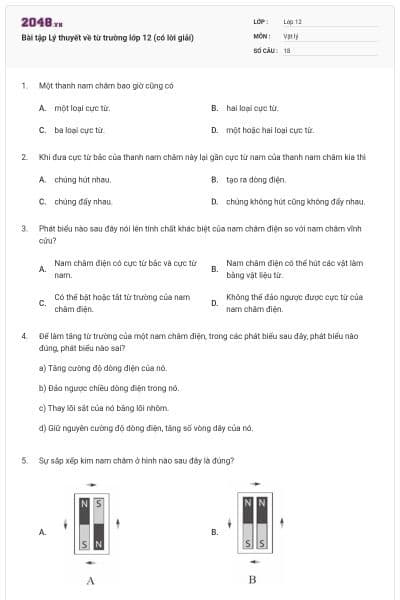 Bài tập Lý thuyết về từ trường lớp 12 (có lời giải)