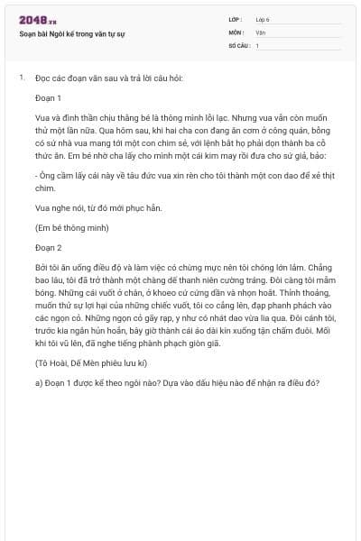 Soạn bài Ngôi kể trong văn tự sự