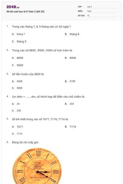 Đề thi cuối học kì II Toán 3 (Đề 20)