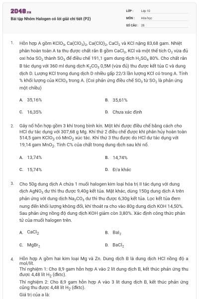 Bài tập Nhóm Halogen có lời giải chi tiết (P2)