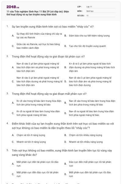 11 câu Trắc nghiệm Sinh Học 11 Bài 29 (có đáp án): Điện thế hoạt động và sự lan truyền xung thần kinh