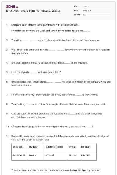 CHUYÊN ĐỀ 19:  CỤM ĐỘNG TỪ (PHRASAL VERBS)