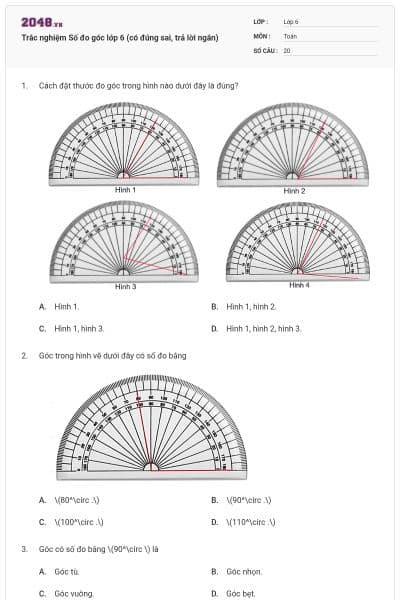 Trắc nghiệm Số đo góc lớp 6 (có đúng sai, trả lời ngắn)