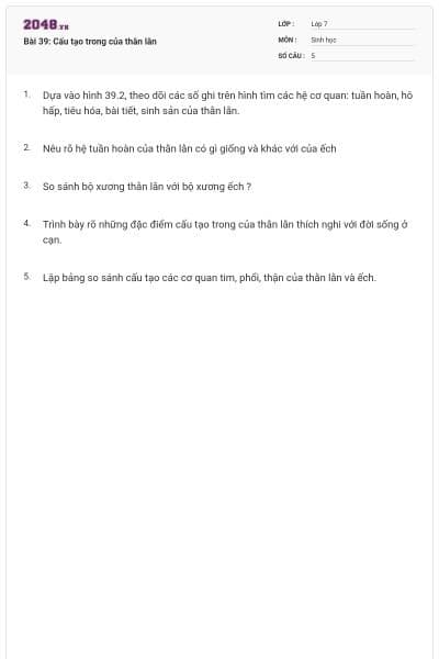 Bài 39: Cấu tạo trong của thằn lằn