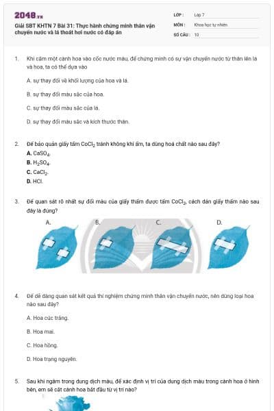 Giải SBT KHTN 7 Bài 31: Thực hành chứng minh thân vận chuyển nước và lá thoát hơi nước có đáp án