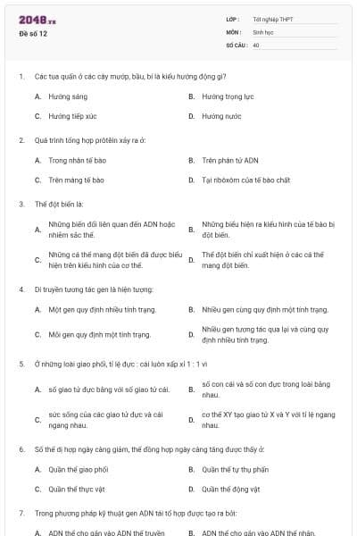 Đề số 12