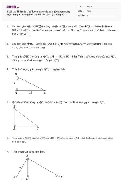 8 bài tập Tính các tỉ số lượng giác của các góc nhọn trong một tam giác vuông biết độ dài các cạnh (có lời giải)