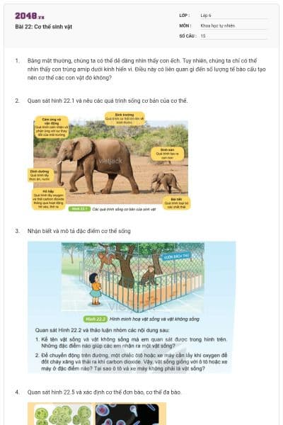 Bài 22: Cơ thể sinh vật