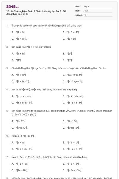 13 câu Trắc nghiệm Toán 9 Chân trời sáng tạo Bài 1. Bất đẳng thức có đáp án