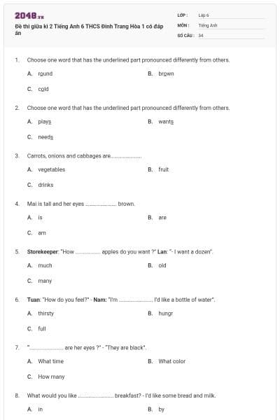 Đề thi giữa kì 2 Tiếng Anh 6 THCS Đinh Trang Hòa 1 có đáp án