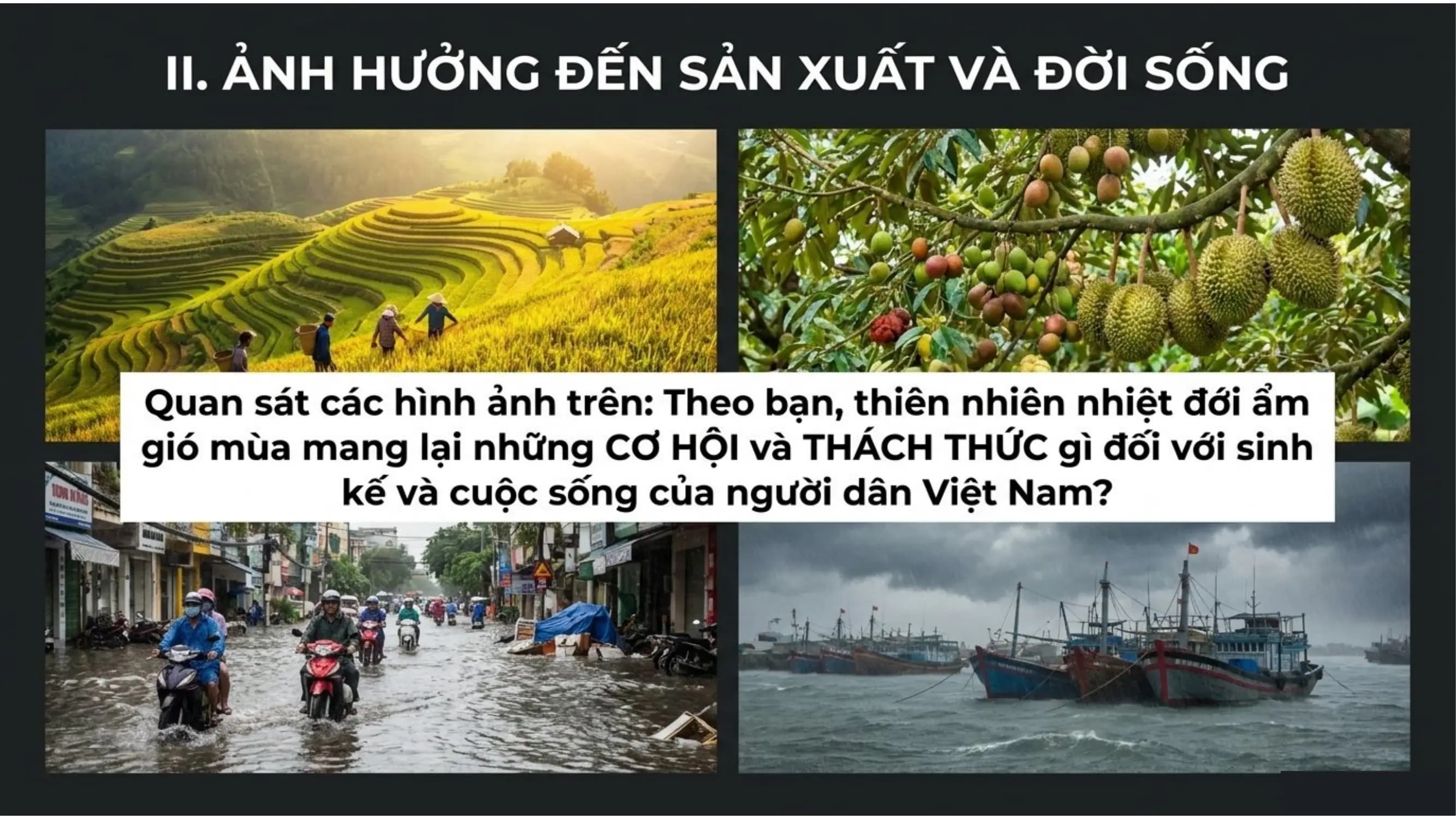 Nội dung nhập