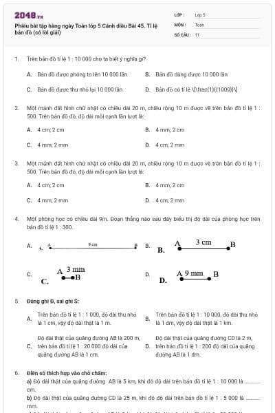 Phiếu bài tập hàng ngày Toán lớp 5 Cánh diều Bài 45. Tỉ lệ bản đồ (có lời giải)