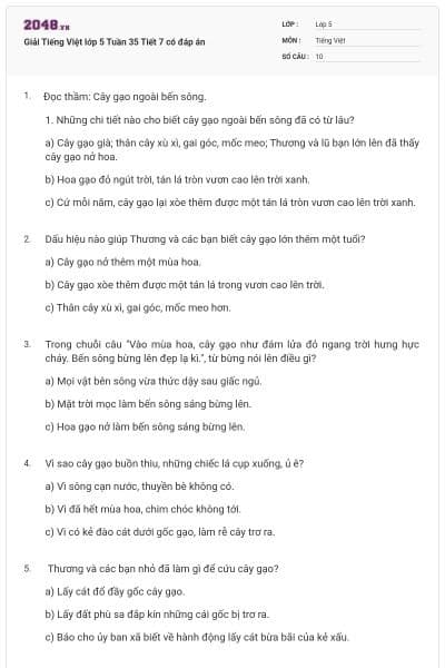 Giải Tiếng Việt lớp 5 Tuần 35 Tiết 7 có đáp án