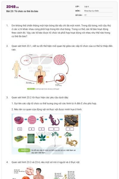 Bài 23: Tổ chức cơ thể đa bào
