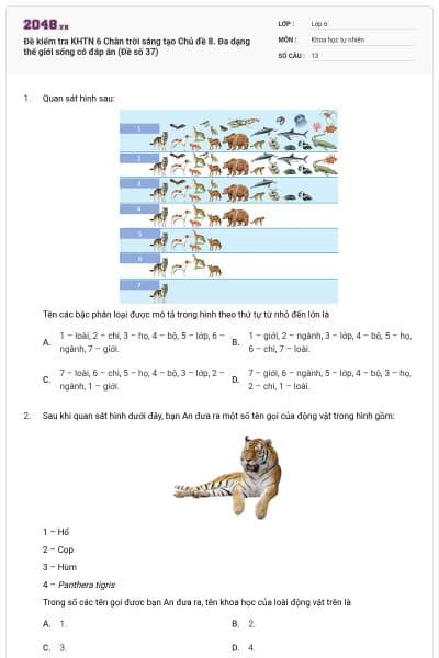 Đề kiểm tra KHTN 6 Chân trời sáng tạo Chủ đề 8. Đa dạng thế giới sống có đáp án (Đề số 37)