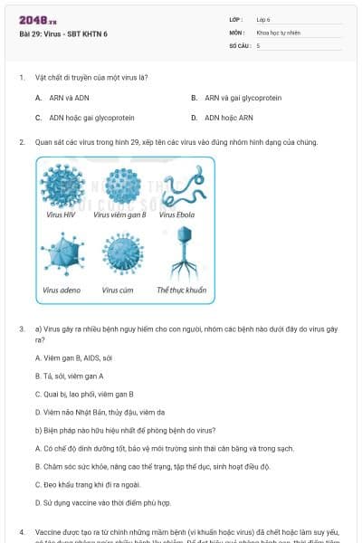 Bài 29: Virus - SBT KHTN 6