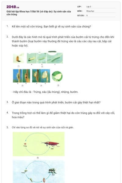 Giải bài tập Khoa học 5 Bài 56 (có đáp án): Sự sinh sản của côn trùng