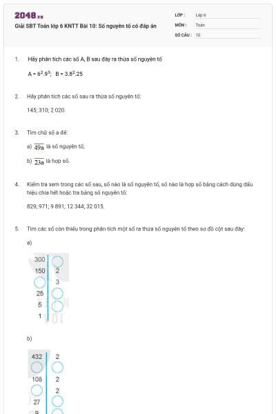 Giải SBT Toán lớp 6 KNTT Bài 10: Số nguyên tố có đáp án