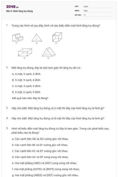 Bài 4: Hình lăng trụ đứng