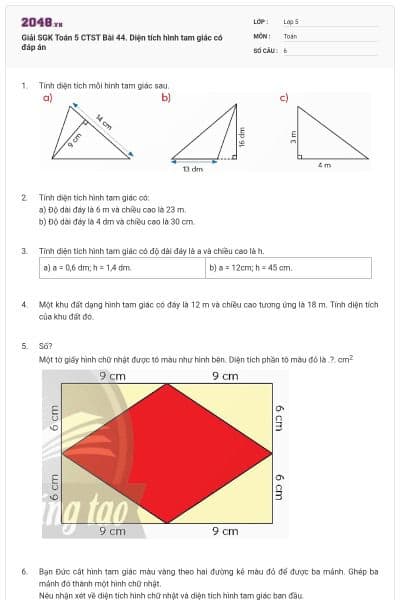 Giải SGK Toán 5 CTST Bài 44. Diện tích hình tam giác có đáp án
