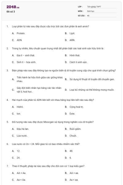 Đề số 3