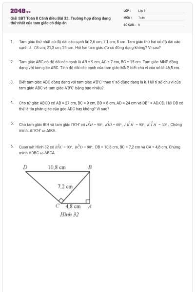 Giải SBT Toán 8 Cánh diều Bài 33. Trường hợp đồng dạng thứ nhất của tam giác có đáp án