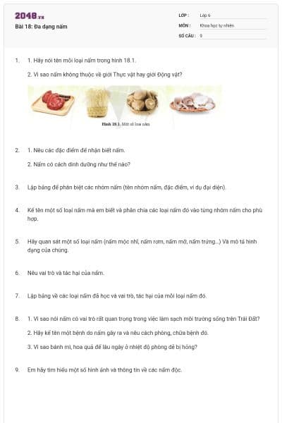 Bài 18: Đa dạng nấm