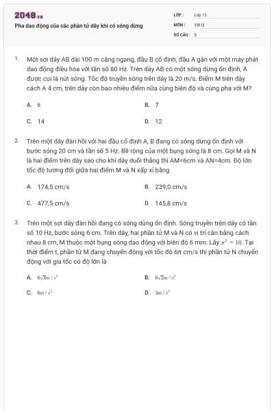 Pha dao động của các phần tử dây khi có sóng dừng