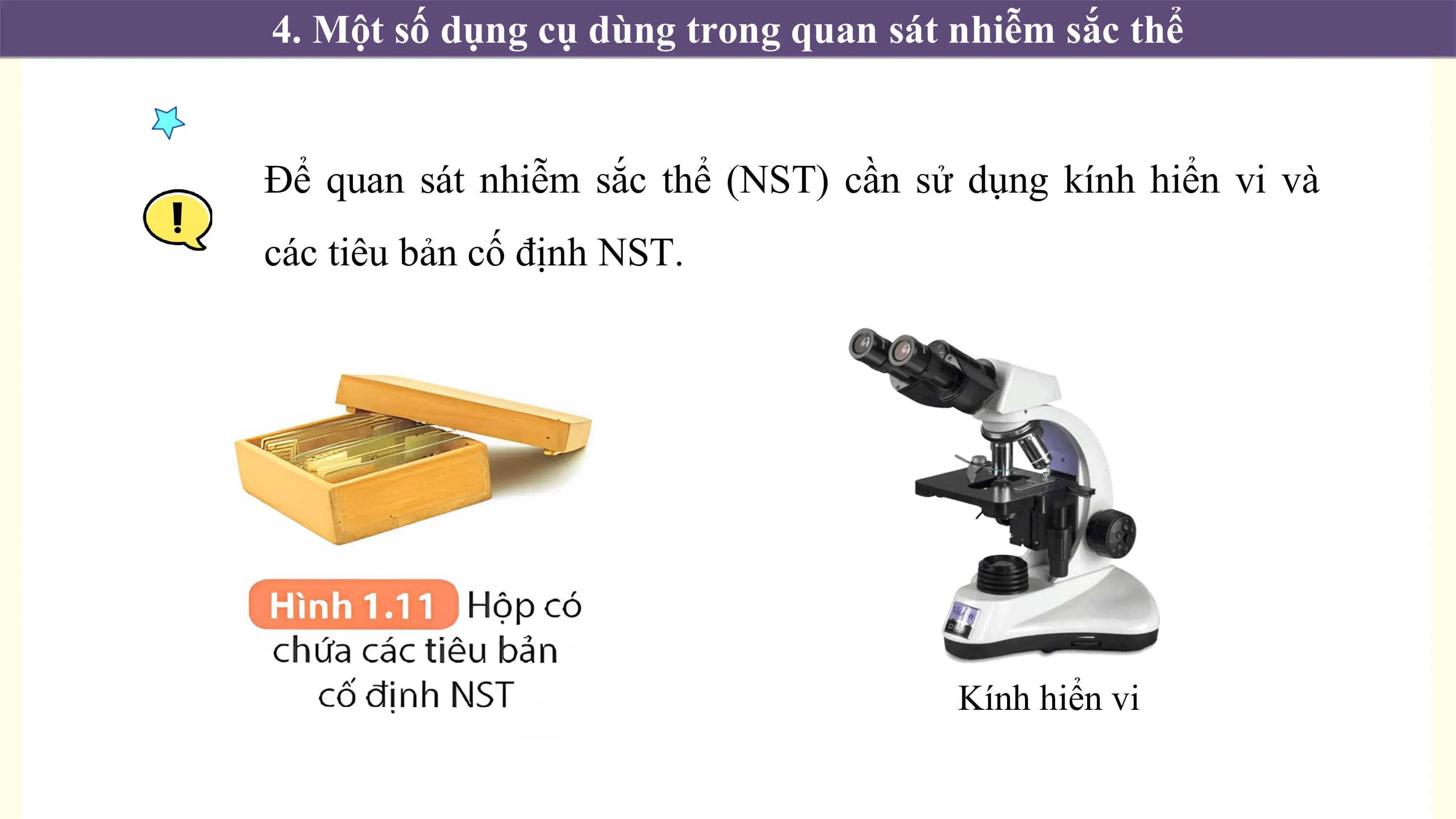 4. Một số dụng cụ dùng trong quan sát nhiễm sắc thể

Để quan sát nhiễm sắc thể (NST) cần sử dụng kính hiển vi và
các tiêu bản cố định NST.

 Kính hiển vi