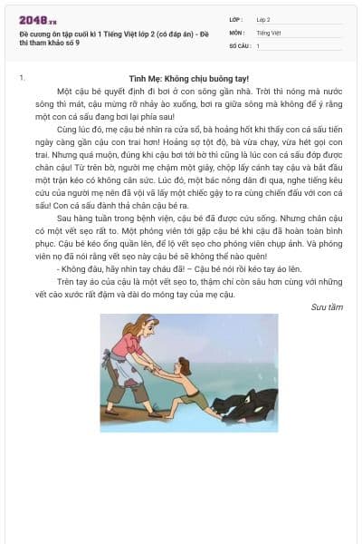 Đề cương ôn tập cuối kì 1 Tiếng Việt lớp 2 (có đáp án) - Đề thi tham khảo số 9