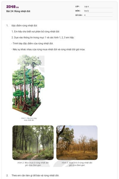 Bài 24: Rừng nhiệt đới