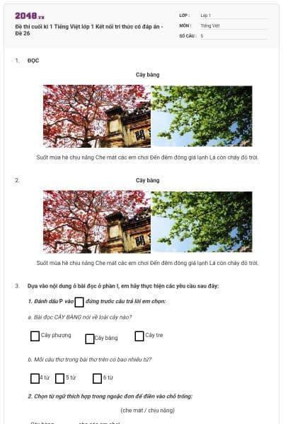 Đề thi cuối kì 1 Tiếng Việt lớp 1 Kết nối tri thức có đáp án - Đề 26