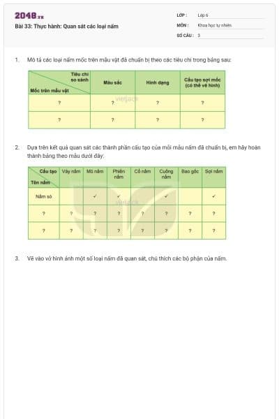 Bài 33: Thực hành: Quan sát các loại nấm