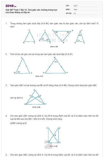Giải SBT Toán 7 Bài 16. Tam giác cân. Đường trung trực của đoạn thẳng có đáp án