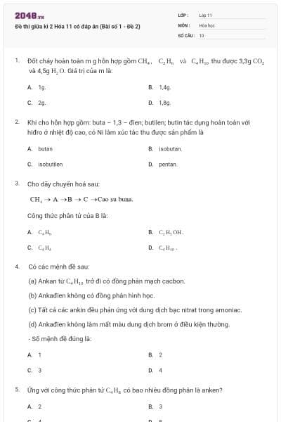 Đề thi giữa kì 2 Hóa 11 có đáp án (Bài số 1 - Đề 2)