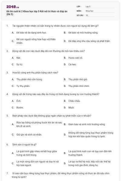 Đề thi cuối kì 2 Khoa học lớp 5 Kết nối tri thức có đáp án (Đề 5)