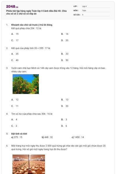 Phiếu bài tập hàng ngày Toán lớp 4 Cánh diều Bài 40. Chia cho số có 2 chữ số có đáp án