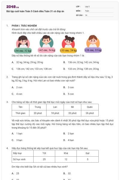Bài tập cuối tuần Toán 5 Cánh diều Tuần 31 có đáp án